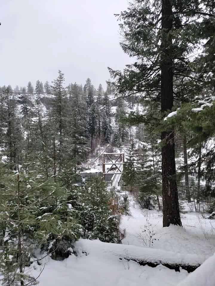 overlooking view of snow-covered pine trees and a bridge over the Spokane river